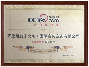 合作启航 鲲鹏移民正式加入央视网广告矩阵，赋能国内全球机会传递新征程